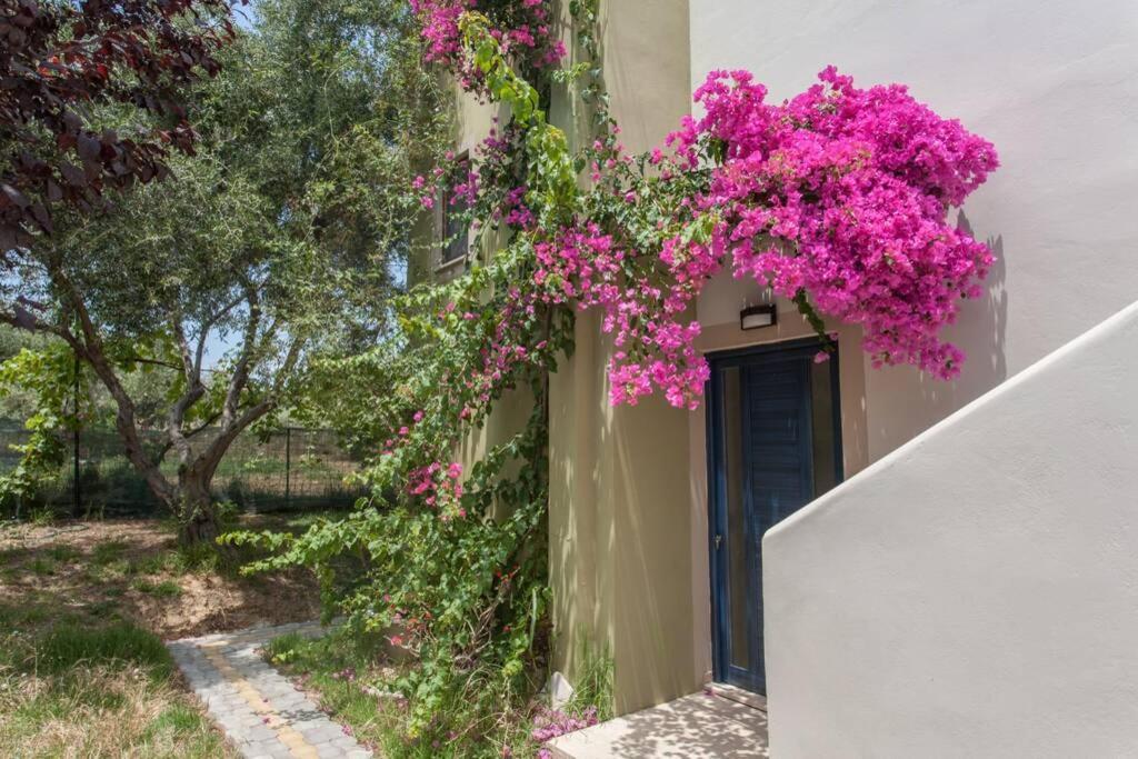 Villa Manolis Chania  Exterior photo